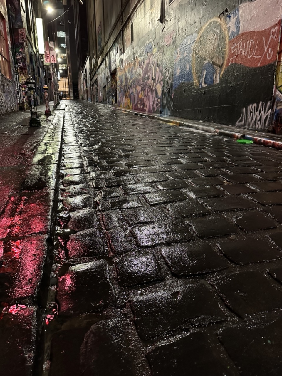 Strategic Water Management: Planning Scheme Amendment - City of Melbourne