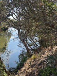 Kananook Creek, Frankston, Melbourne, Victoria