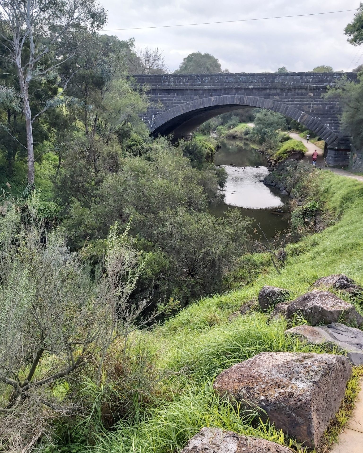 Coburg Precinct Flood Modelling